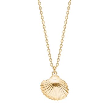 Nordahl Jewellery Sea52 halskæde i forgyldt med muslingeskal