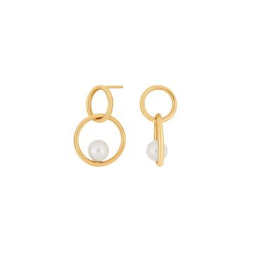 Siersbøl 8kt. Guldørehænger med fvkp.