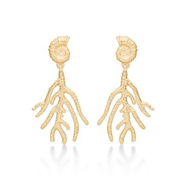 Studio Z Seashell Secrets øreringe i forgyldt