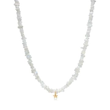 Studio Z Starfish Lustre halskæde i forgyldt